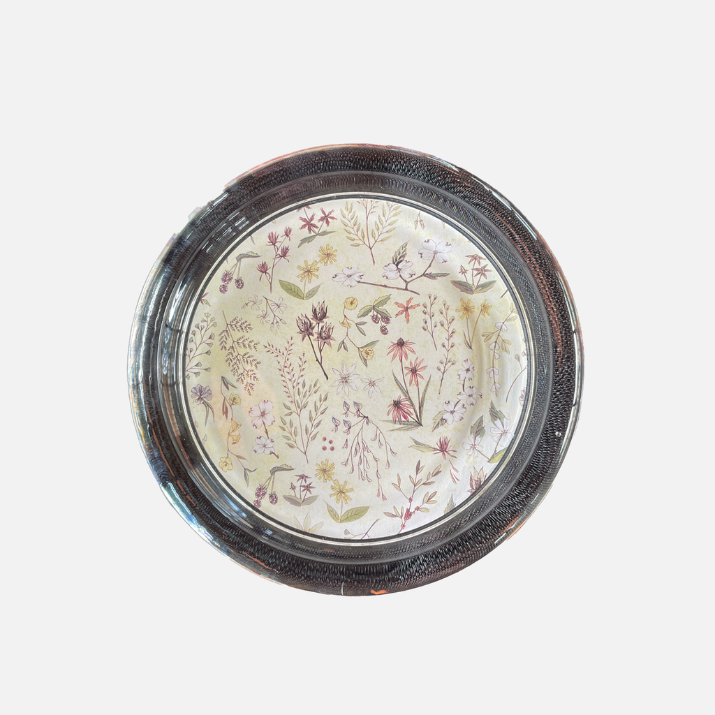 John Derian x The Dewberry Coaster (6 John Derian x The Dewberry Coaster (6