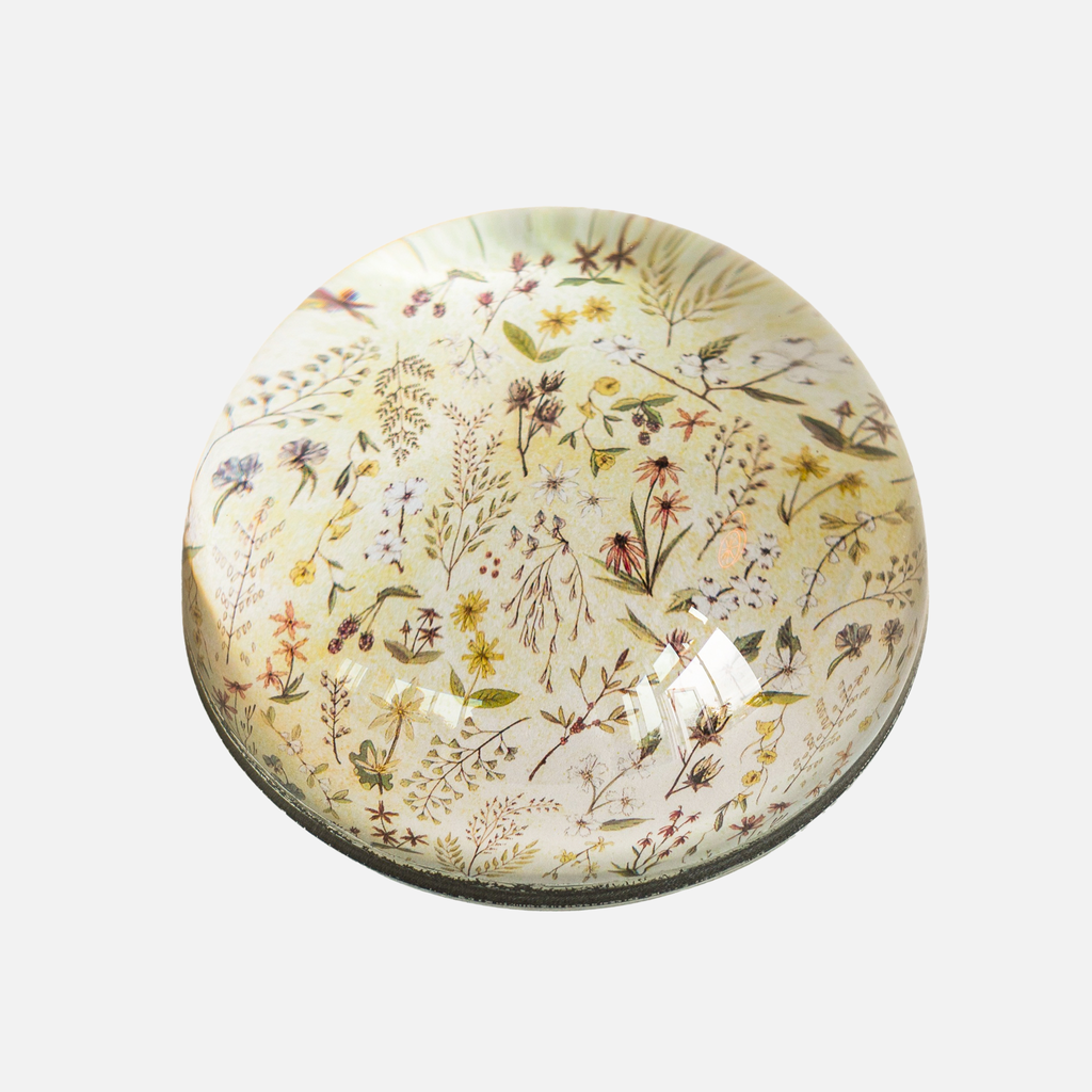 John Derian x The Dewberry Dome Paperweight (3.5”D x 1.5”H)