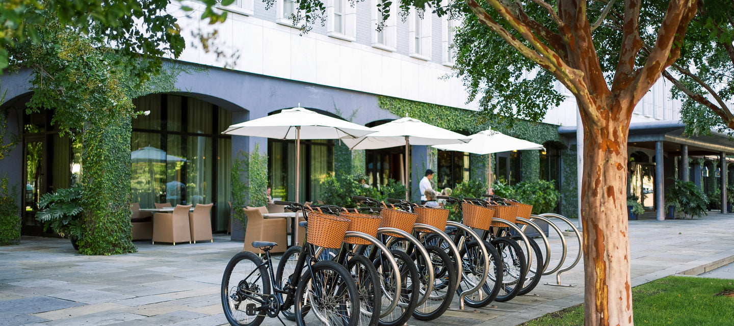 Summer at the Dewberry